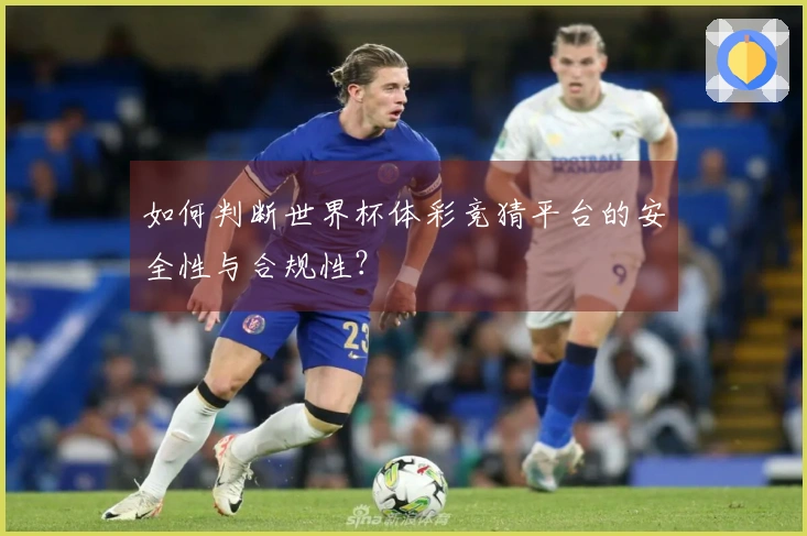 如何判断世界杯体彩竞猜平台的安全性与合规性？