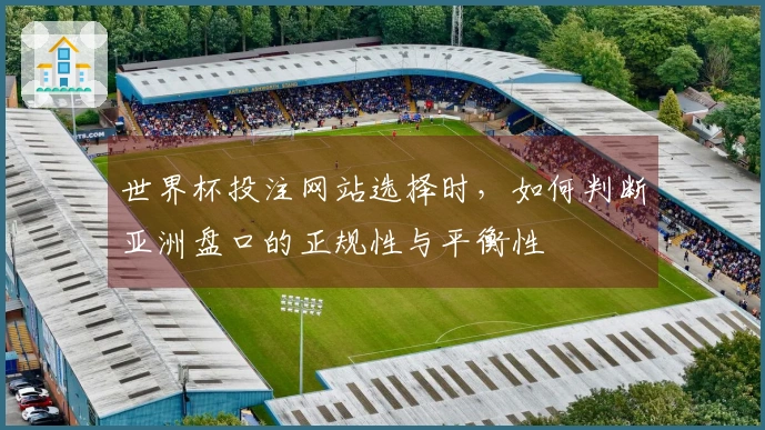 世界杯投注网站选择时，如何判断亚洲盘口的正规性与平衡性