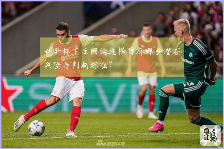 世界杯下注网站选择时有哪些潜在风险与判断标准？