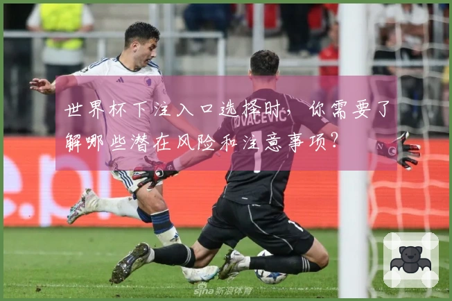 世界杯下注入口选择时，你需要了解哪些潜在风险和注意事项？