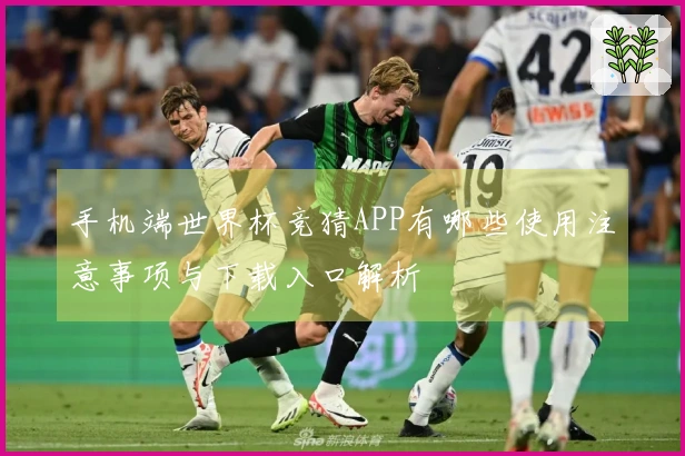 手机端世界杯竞猜APP有哪些使用注意事项与下载入口解析