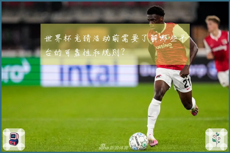 世界杯竞猜活动前需要了解哪些平台的可靠性和规则?