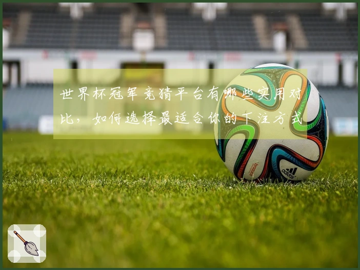 世界杯冠军竞猜平台有哪些实用对比,如何选择最适合你的下注方式