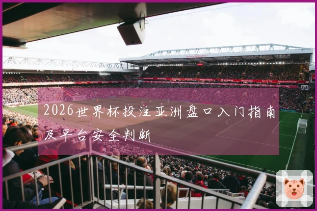 2026世界杯投注亚洲盘口入门指南及平台安全判断