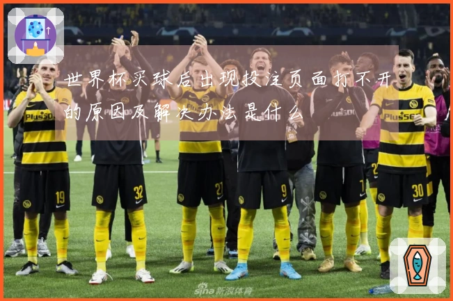 世界杯买球后出现投注页面打不开的原因及解决办法是什么