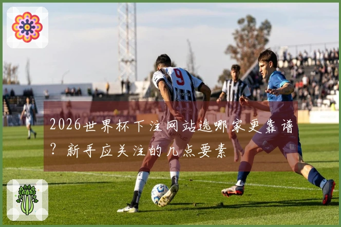 2026世界杯下注网站选哪家更靠谱？新手应关注的几点要素