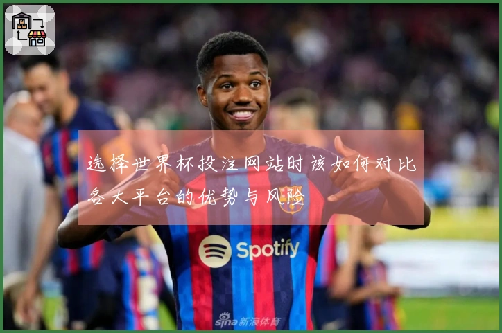 选择世界杯投注网站时该如何对比各大平台的优势与风险