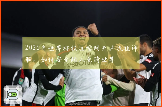 2026年世界杯投注官网开户流程详解，如何安全踏入竞猜世界