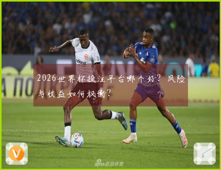 2026世界杯投注平台哪个好？风险与收益如何权衡？