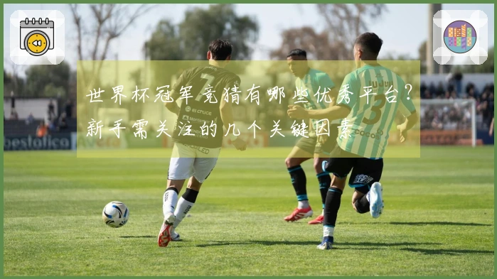 世界杯冠军竞猜有哪些优秀平台？新手需关注的几个关键因素