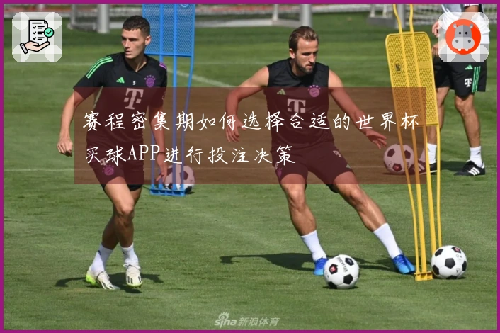 赛程密集期如何选择合适的世界杯买球APP进行投注决策