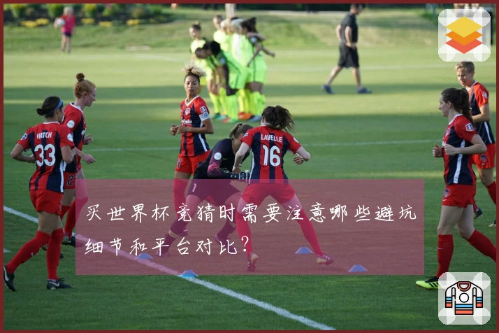 买世界杯竞猜时需要注意哪些避坑细节和平台对比?