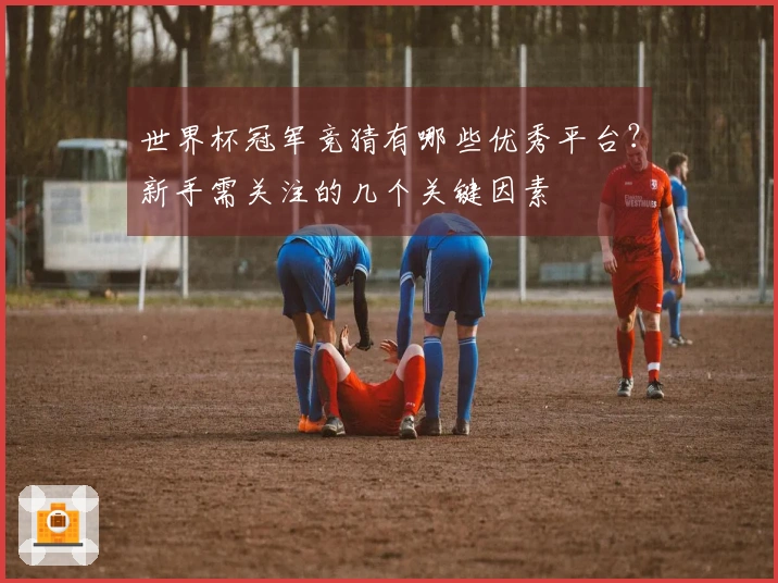 世界杯冠军竞猜有哪些优秀平台？新手需关注的几个关键因素