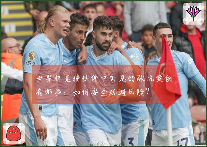 世界杯竞猜软件中常见的踩坑案例有哪些,如何安全规避风险?