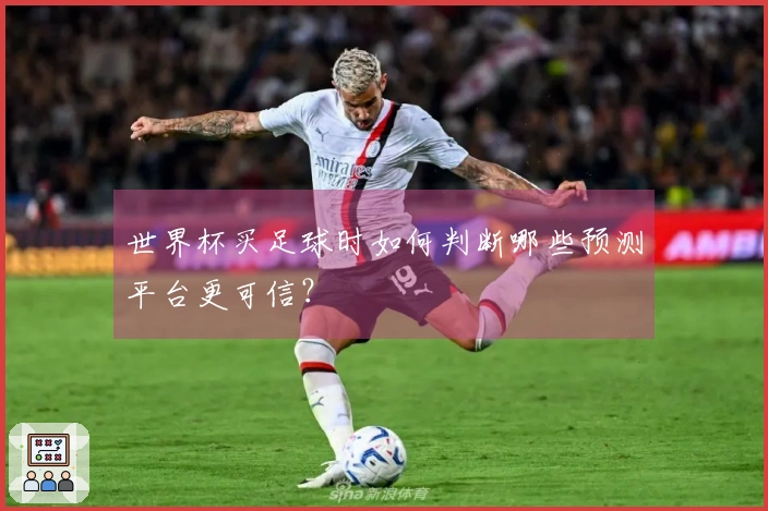 世界杯买足球时如何判断哪些预测平台更可信？