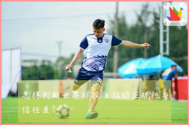 怎样判断世界杯投注站的正规性与信任度？