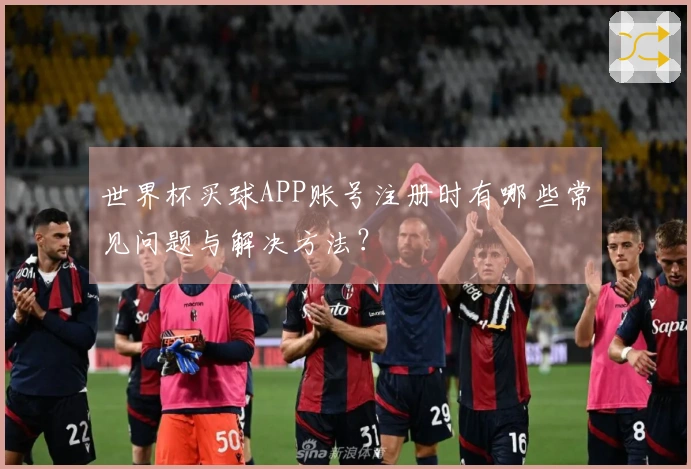 世界杯买球APP账号注册时有哪些常见问题与解决方法？