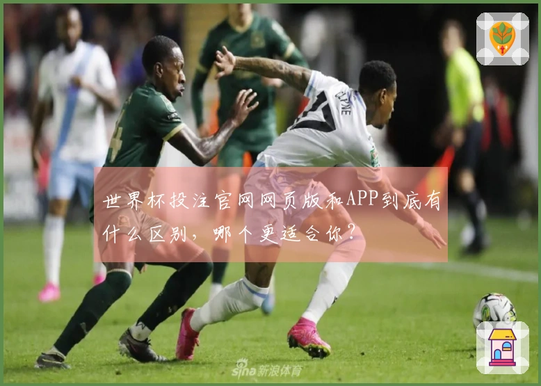 世界杯投注官网网页版和APP到底有什么区别，哪个更适合你？