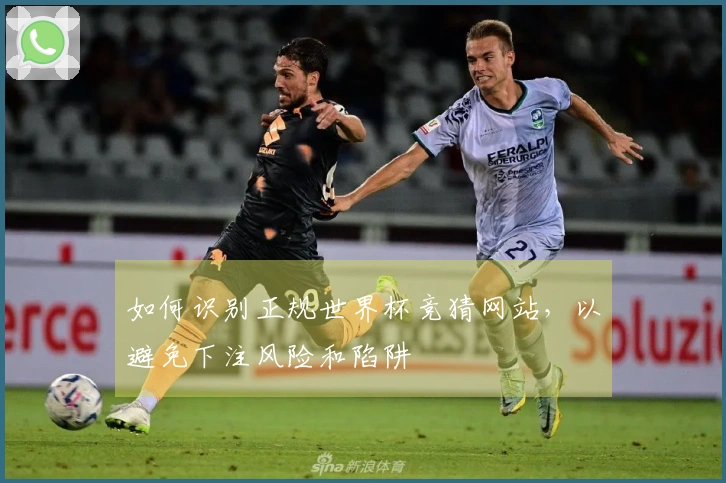 如何识别正规世界杯竞猜网站，以避免下注风险和陷阱