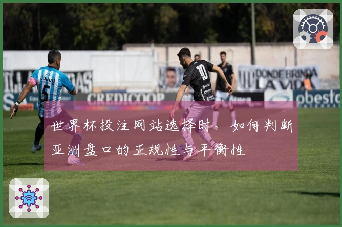 世界杯投注网站选择时，如何判断亚洲盘口的正规性与平衡性