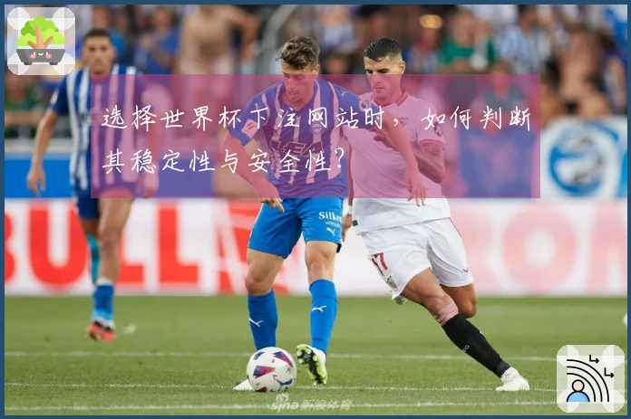 选择世界杯下注网站时，如何判断其稳定性与安全性？