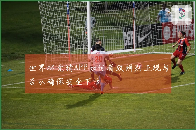 世界杯竞猜APP如何有效辨别正规与否以确保安全下注