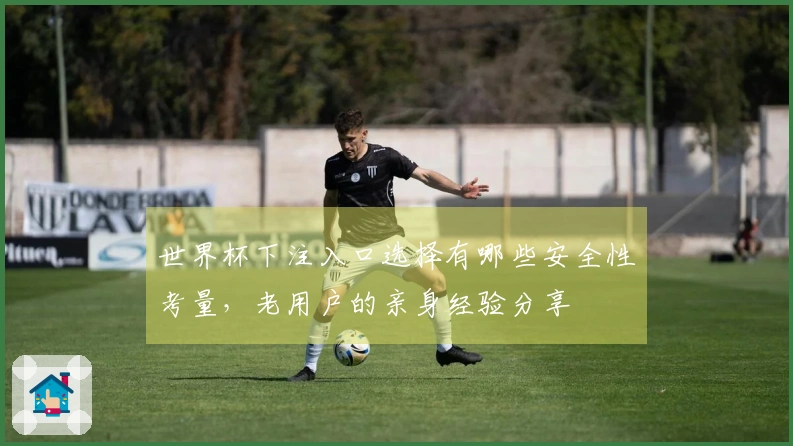 世界杯下注入口选择有哪些安全性考量，老用户的亲身经验分享