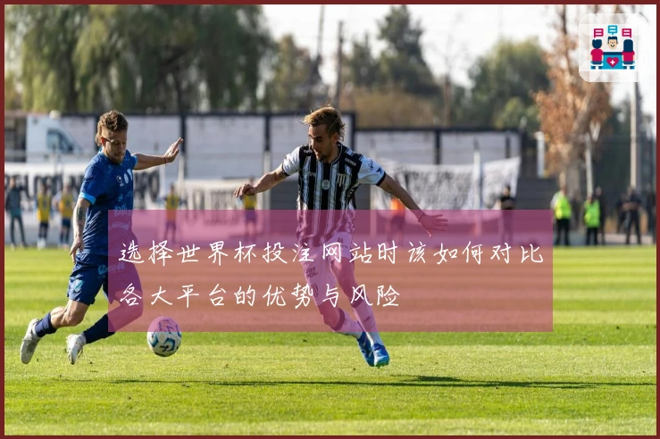 选择世界杯投注网站时该如何对比各大平台的优势与风险
