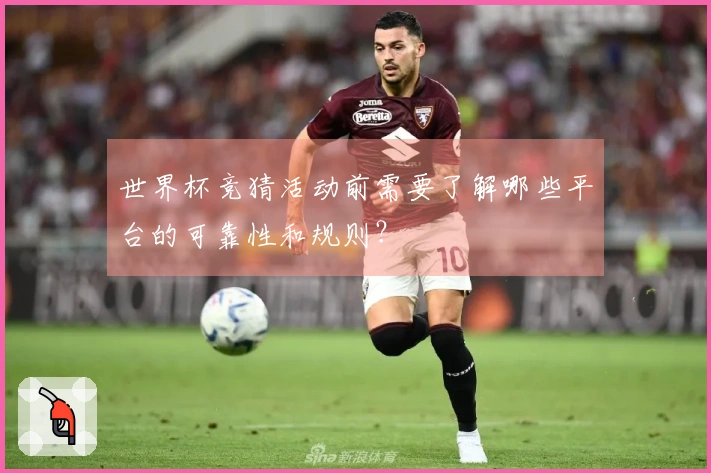 世界杯竞猜活动前需要了解哪些平台的可靠性和规则？