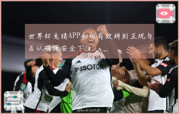 世界杯竞猜APP如何有效辨别正规与否以确保安全下注