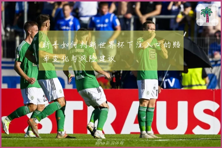 新手如何判断世界杯下注入口的赔率变化与风险建议