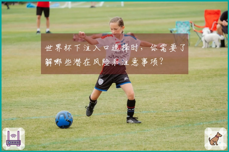 世界杯下注入口选择时,你需要了解哪些潜在风险和注意事项?
