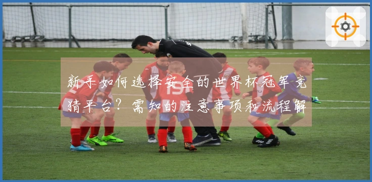 新手如何选择安全的世界杯冠军竞猜平台？需知的注意事项和流程解析