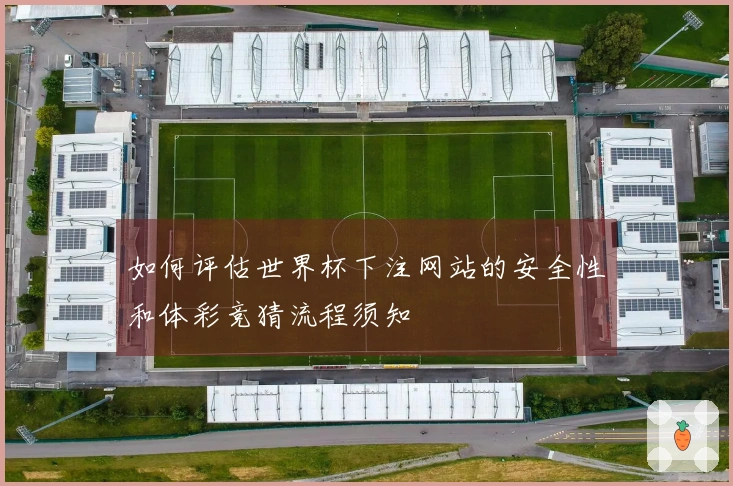 如何评估世界杯下注网站的安全性和体彩竞猜流程须知