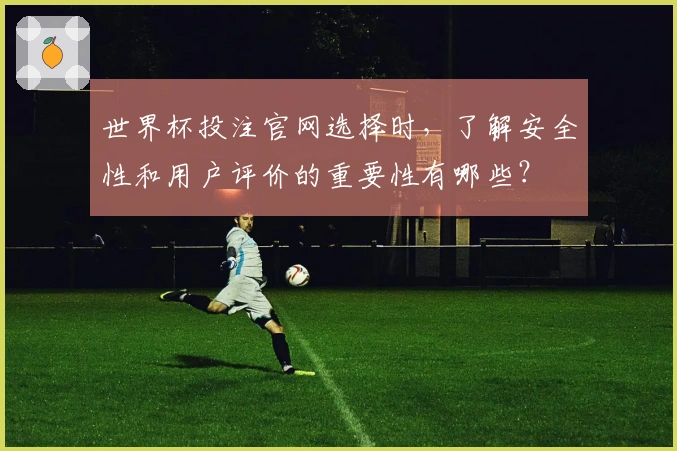 世界杯投注官网选择时，了解安全性和用户评价的重要性有哪些？