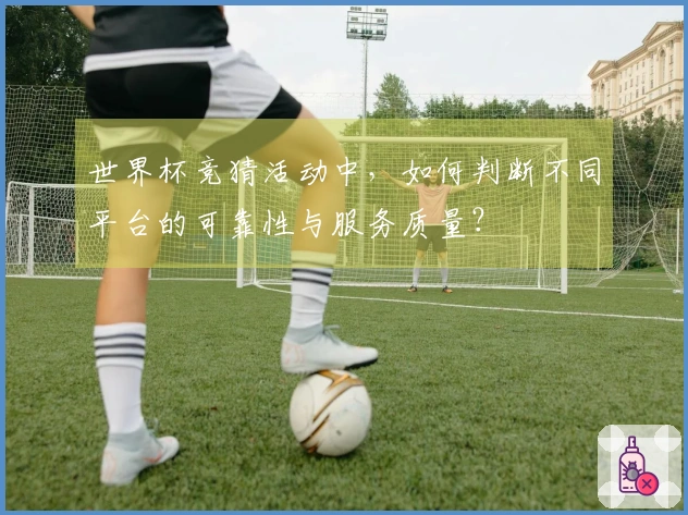 世界杯竞猜活动中，如何判断不同平台的可靠性与服务质量？