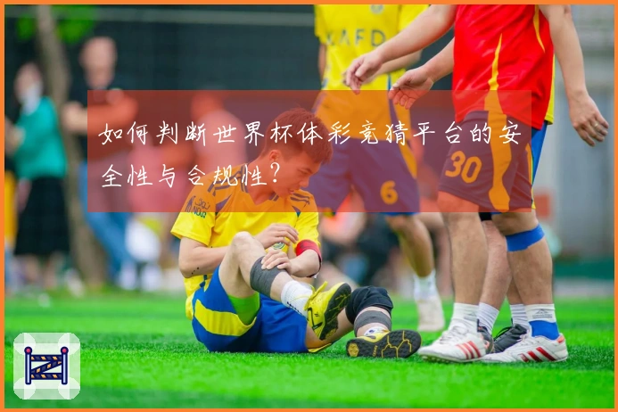 如何判断世界杯体彩竞猜平台的安全性与合规性？