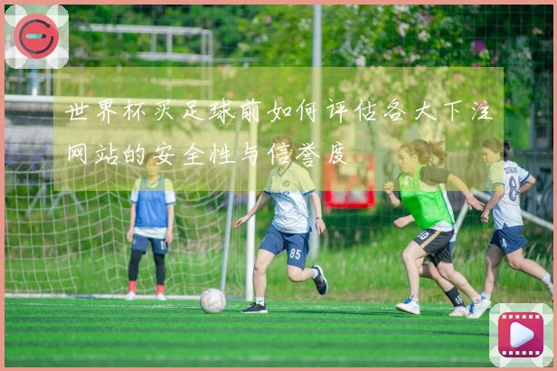世界杯买足球前如何评估各大下注网站的安全性与信誉度