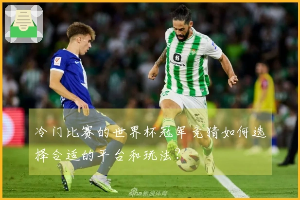 冷门比赛的世界杯冠军竞猜如何选择合适的平台和玩法？