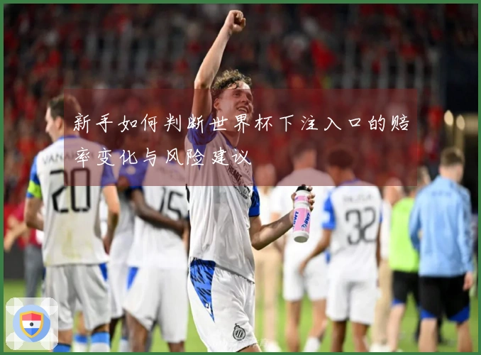 新手如何判断世界杯下注入口的赔率变化与风险建议