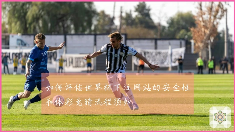 如何评估世界杯下注网站的安全性和体彩竞猜流程须知